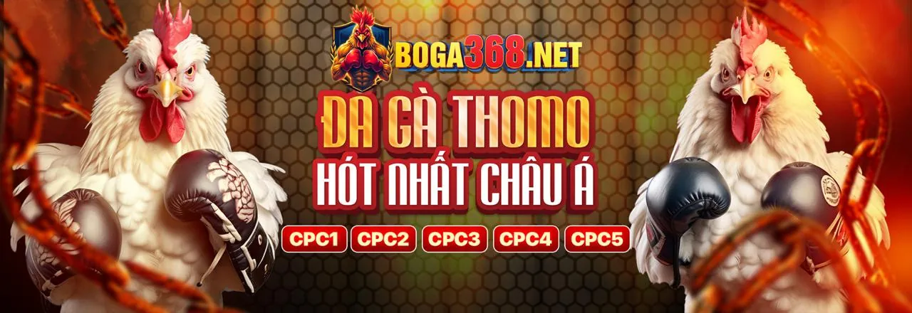 Đá Gà Trực Tuyến ww888 code